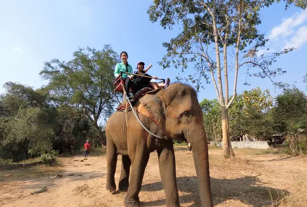 Wangpo Elephant Campの写真・動画_image_117000