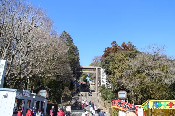 常磐神社の写真・動画_image_117657