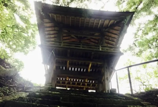 青苔寺の写真・動画_image_117744