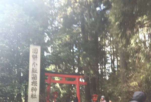 箱根神社の写真・動画_image_120751