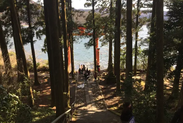 箱根神社の写真・動画_image_120755