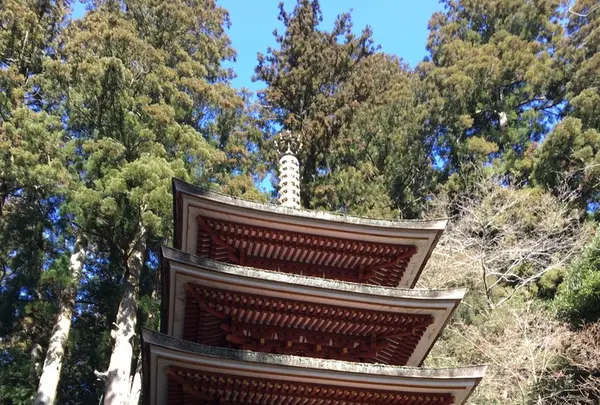 室生寺の写真・動画_image_120948