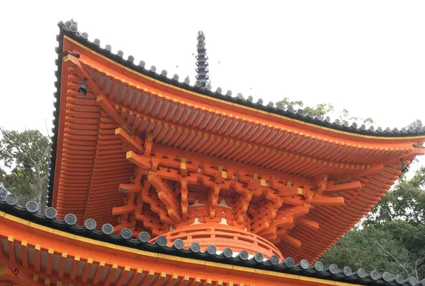 紀三井寺の写真・動画_image_122505