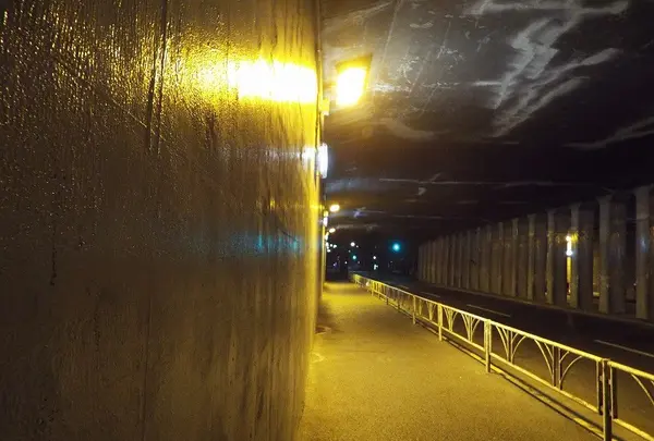 千駄ヶ谷トンネルの写真・動画_image_122718