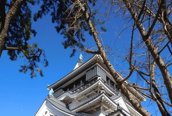 小倉城の写真・動画_image_123048