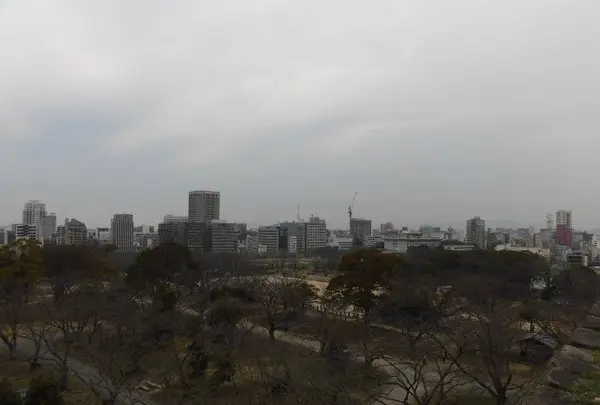 福岡城跡の写真・動画_image_123153