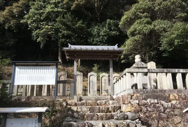 雲龍山 長興寺の写真・動画_image_123244