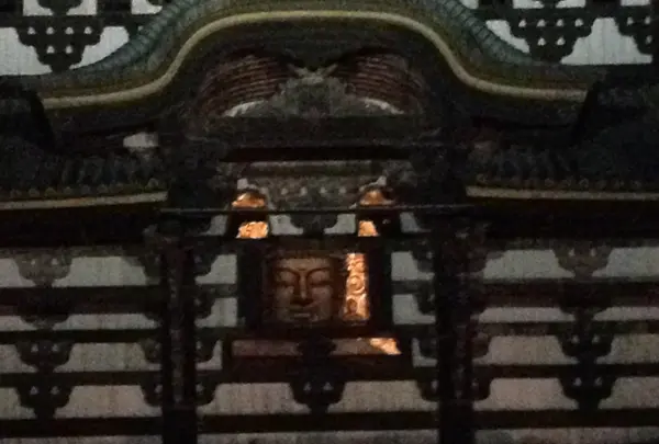 東大寺の写真・動画_image_124217