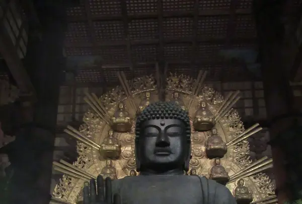 東大寺の写真・動画_image_124218