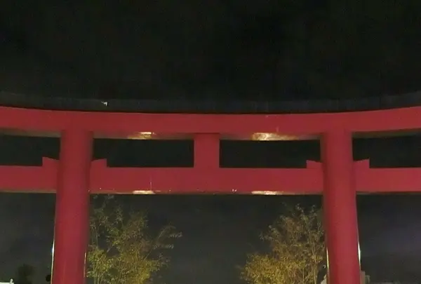 鶴岡八幡宮の写真・動画_image_125596