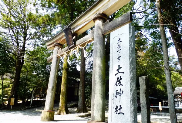 土佐神社の写真・動画_image_126746