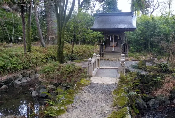 土佐神社の写真・動画_image_127181