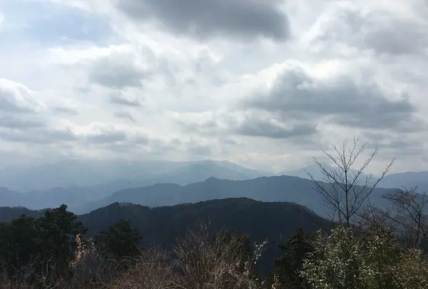 高尾山薬王院（有喜寺）の写真・動画_image_127222