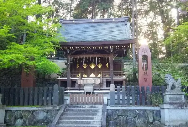今宮神社の写真・動画_image_129625