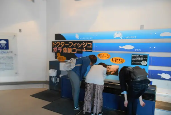 下田海中水族館の写真・動画_image_130418