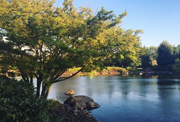 国営昭和記念公園日本庭園の写真・動画_image_130459