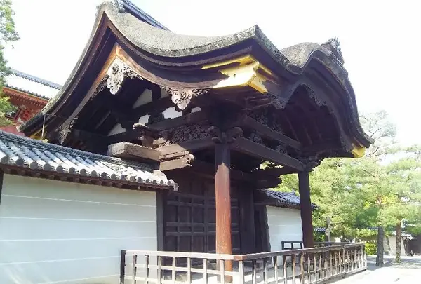 龍寶山　大徳寺の写真・動画_image_131518