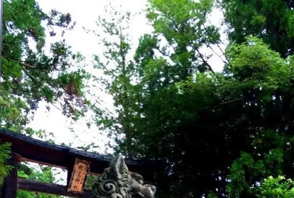 穂高神社の写真・動画_image_131562