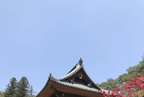 安楽寺の写真・動画_image_131998