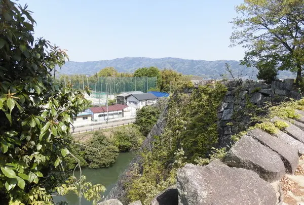 上野城の写真・動画_image_132502
