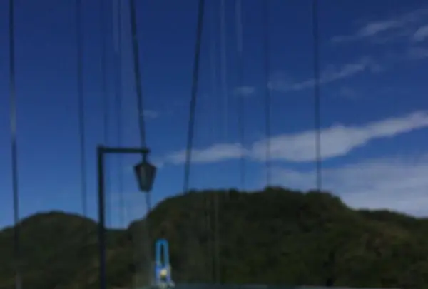 竜神大吊橋の写真・動画_image_132931