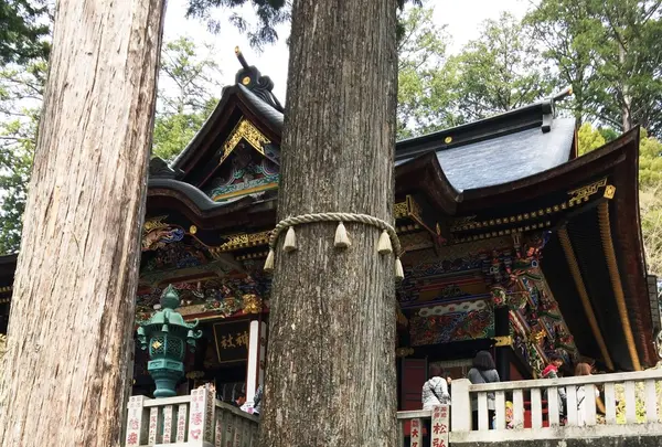 三峯神社の写真・動画_image_133657