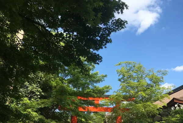 下鴨神社（賀茂御祖神社）の写真・動画_image_134332