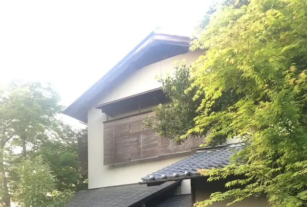 八坂神社の写真・動画_image_134360