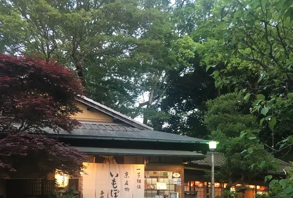 八坂神社の写真・動画_image_134361