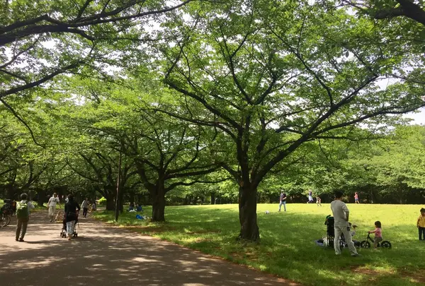 大井ふ頭海浜公園の写真・動画_image_134482