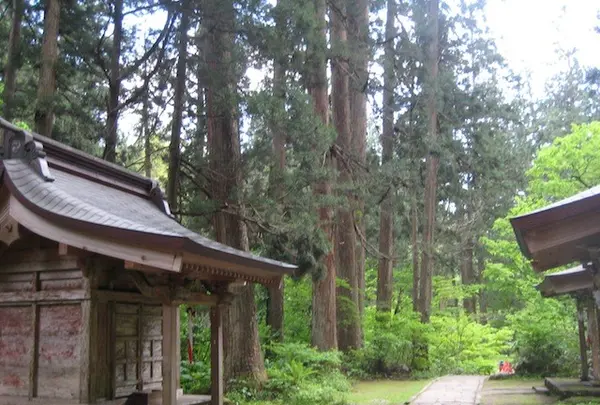 出羽三山神社の写真・動画_image_135593