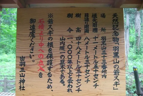 出羽三山神社の写真・動画_image_135599