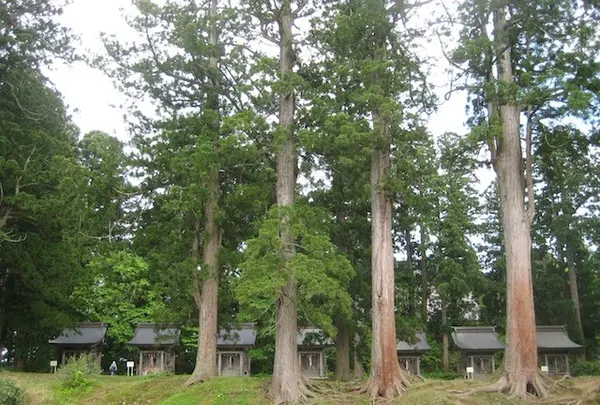 出羽三山神社の写真・動画_image_135626