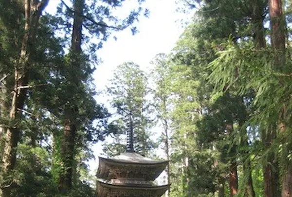 出羽三山神社の写真・動画_image_135634