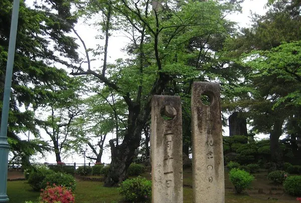 上杉神社の写真・動画_image_135654