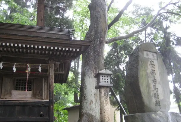 上杉神社の写真・動画_image_135677