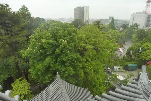 大垣城の写真・動画_image_136276