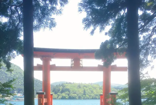 箱根神社の写真・動画_image_138186