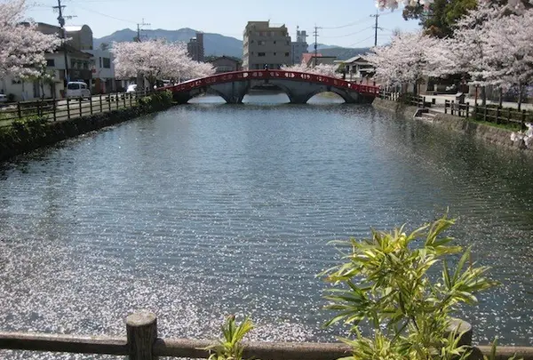 青井阿蘇神社の写真・動画_image_139342