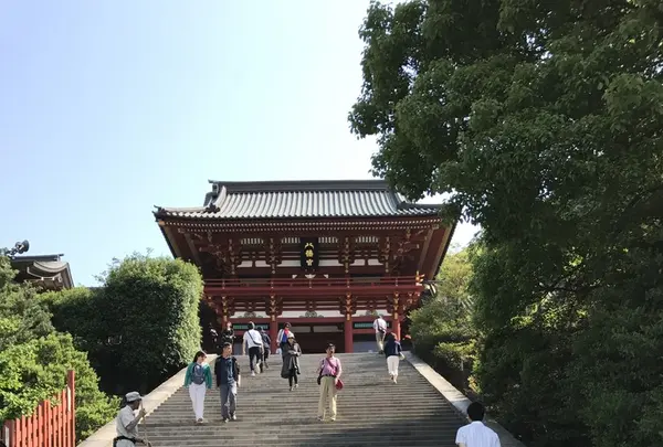 鶴岡八幡宮の写真・動画_image_139465