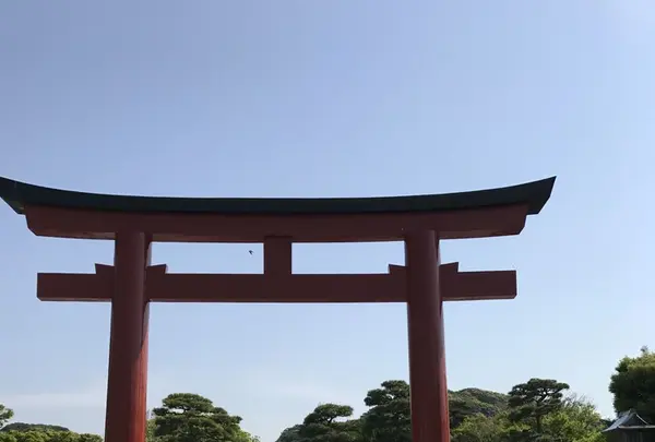 鶴岡八幡宮の写真・動画_image_139466
