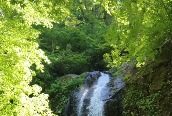 県立自然公園宇津江四十八滝の写真・動画_image_141623