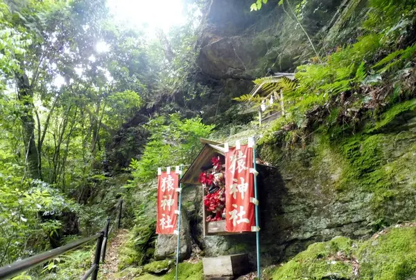 中山神社の写真・動画_image_142037