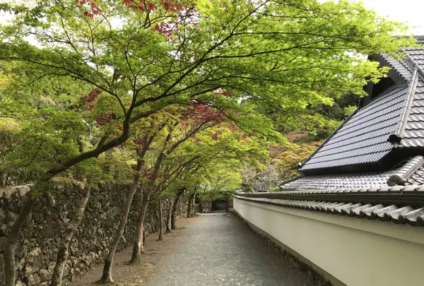 神峯山寺の写真・動画_image_142153