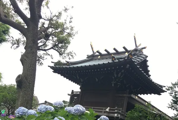 白山神社の写真・動画_image_142643