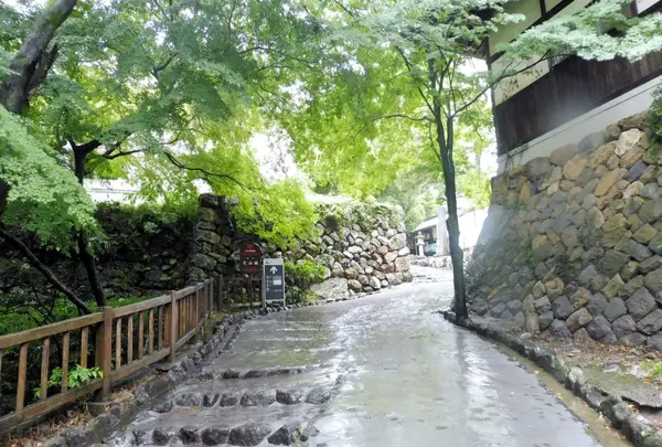 三光稲荷神社の写真・動画_image_143847