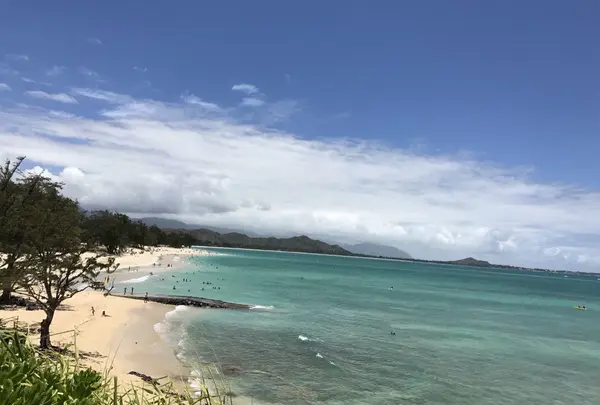 Kailua Beach（カイルア・ビーチ）の写真・動画_image_144026