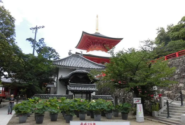 中山寺の写真・動画_image_144462