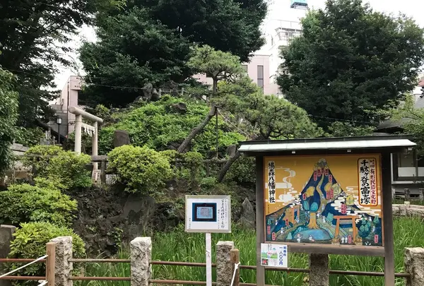 鳩森八幡神社の写真・動画_image_144699