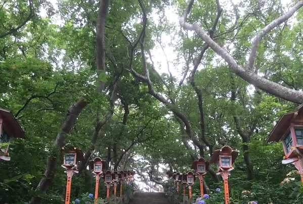 高山稲荷神社の写真・動画_image_145031